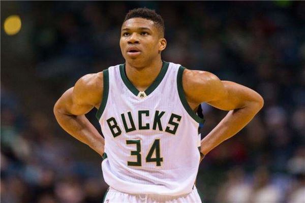 团队协作 团队协作