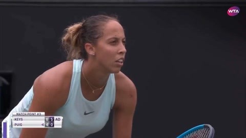 显然已成为 显然已成为